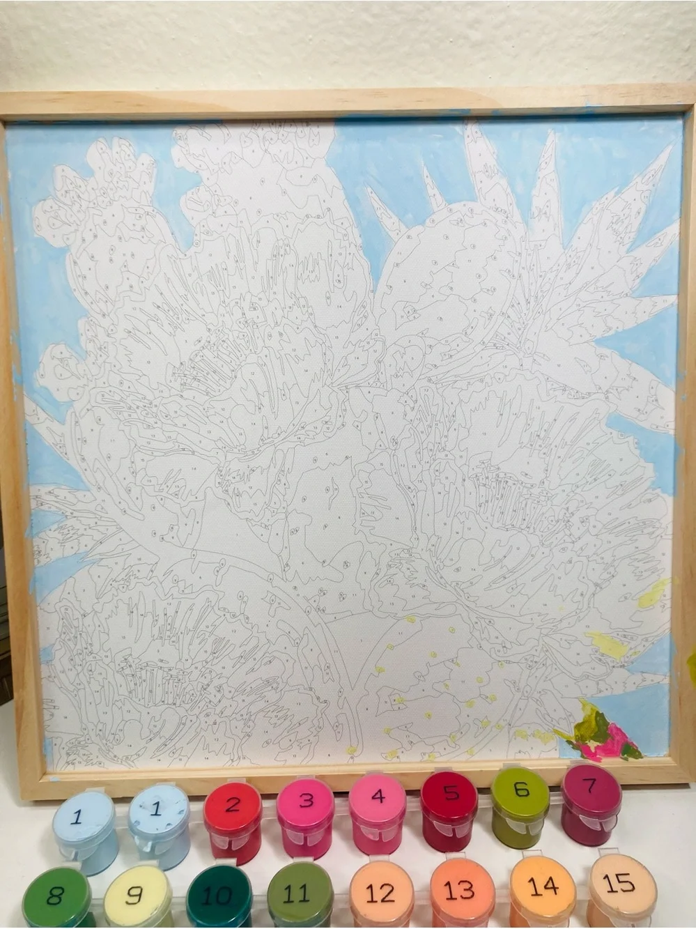 Barely Started: Mondo Llama Paint-by-Number Framed Canvas Kit